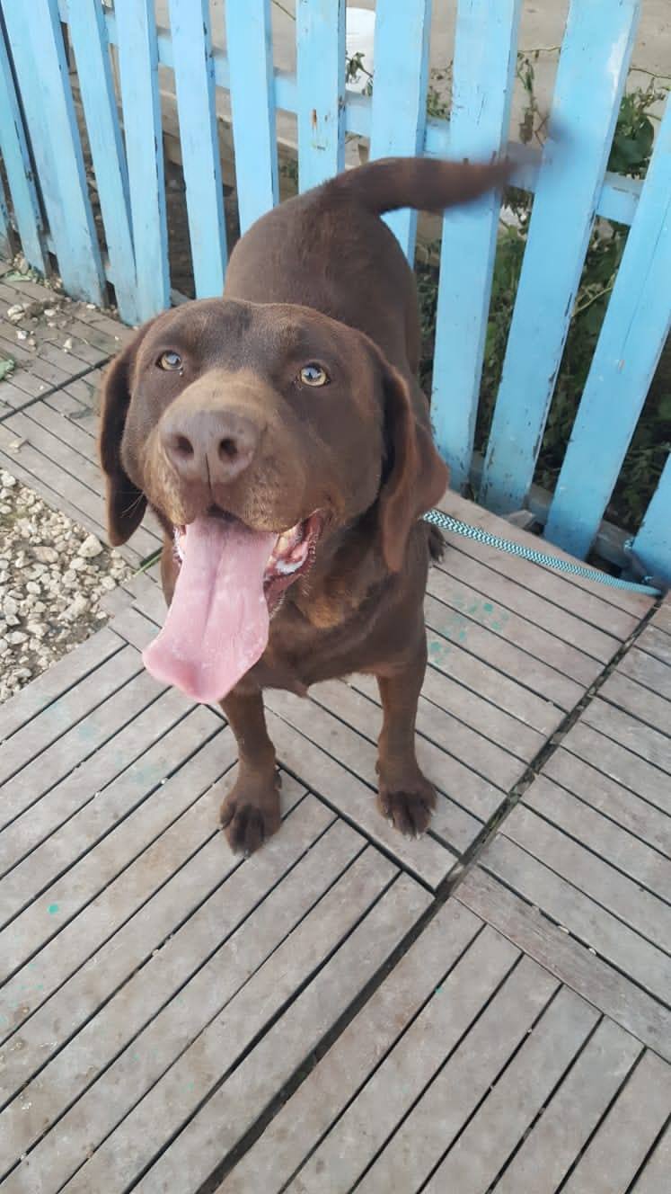 Monty (fka Mocha)